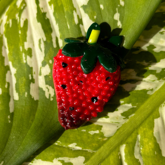 Strawberry Magnet