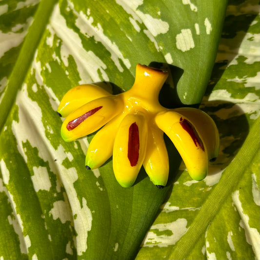 Yellow Bunched Bananas